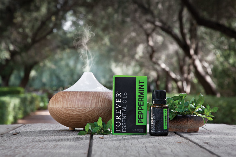 Tout savoir sur nos huiles essentielles