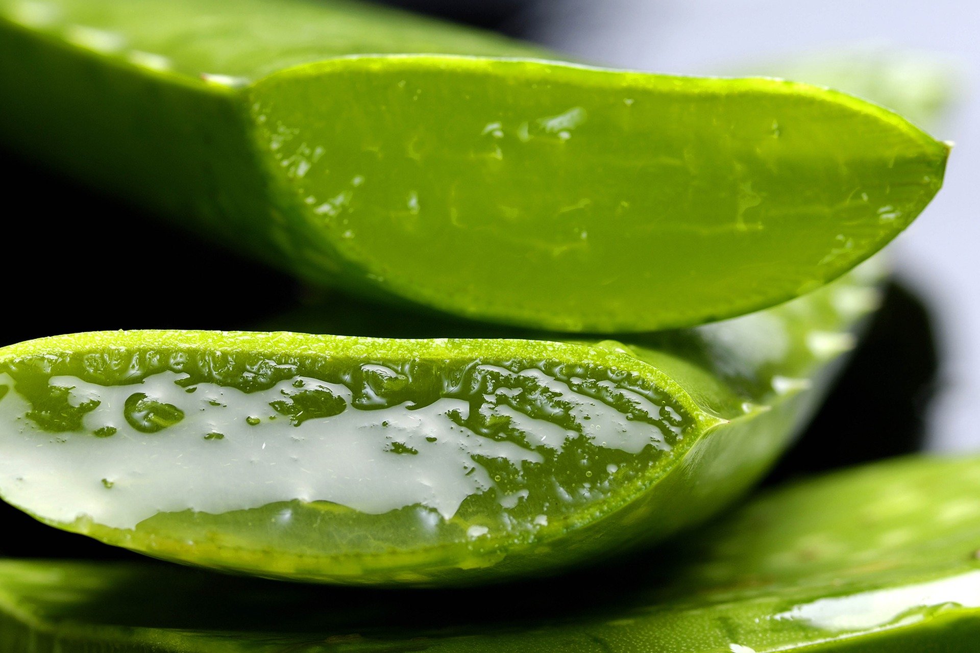 Quelle partie de la feuille d’Aloe vera est bonne pour la peau et la santé ?