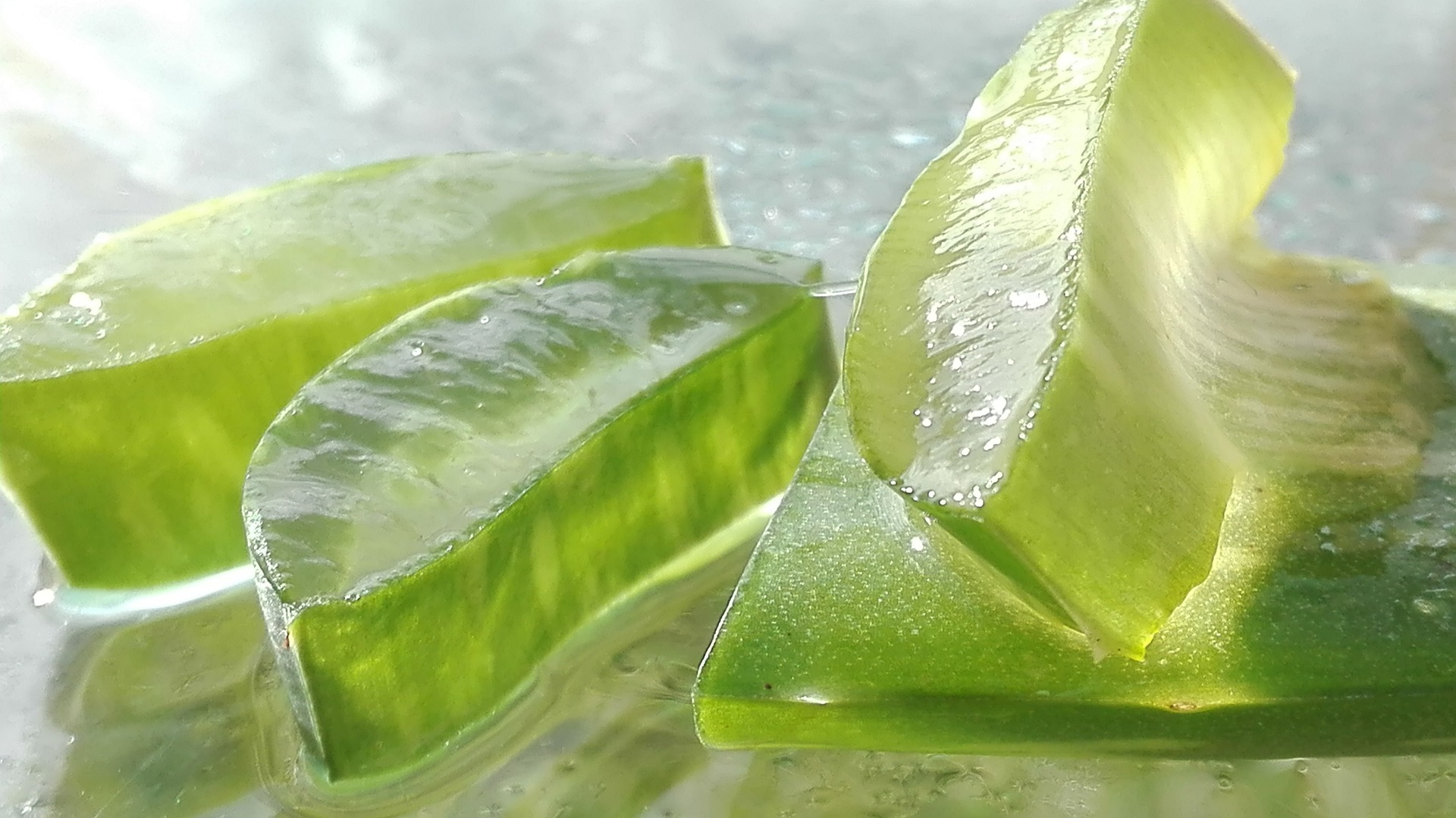L’Aloe vera peut-il aider à mieux supporter les chimiothérapies ?