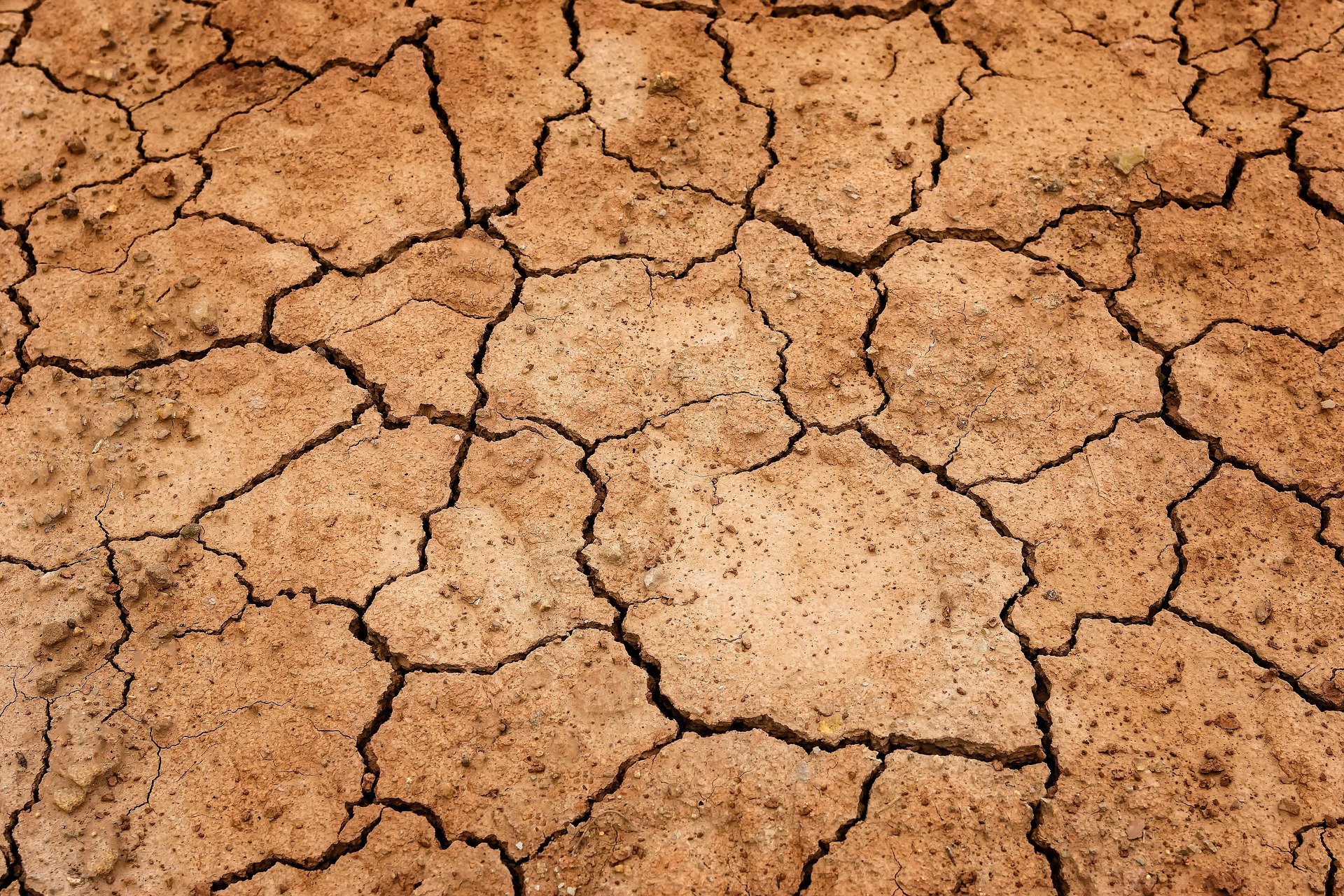 Quelle crème visage pour une peau très sèche ?