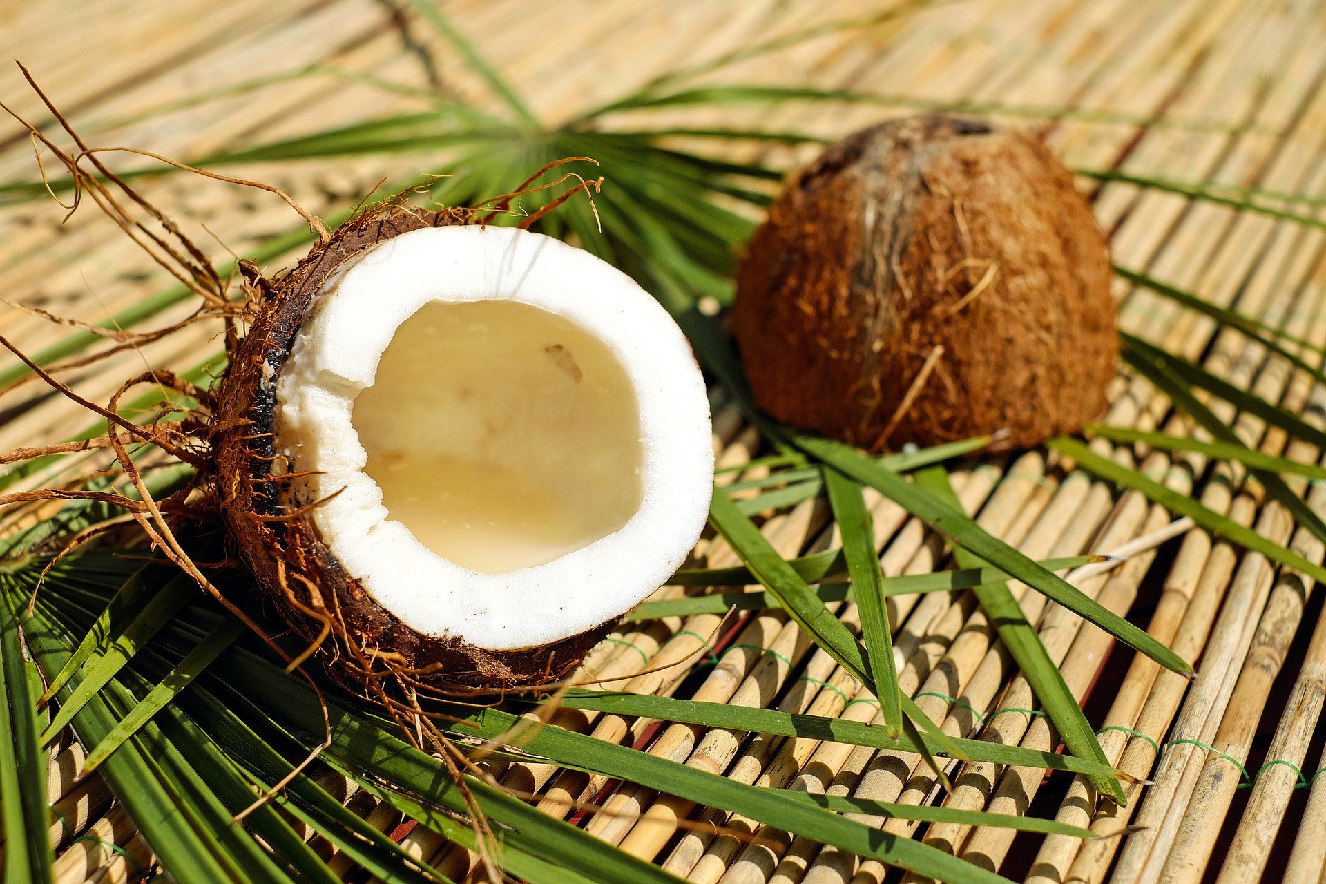 La noix de coco, tant de bienfaits! - Infothèque Cuisine l'Angélique