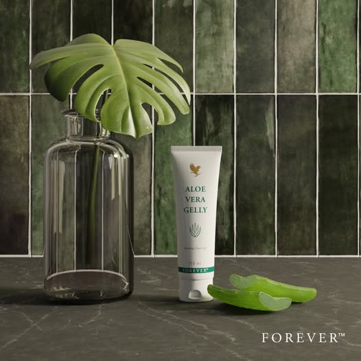 Tube de gel Aloe Vera Gelly de Forever posé sur un plan de travail sombre à côté de tranches de feuilles d'aloès fraîches, devant un mur de carreaux verts.