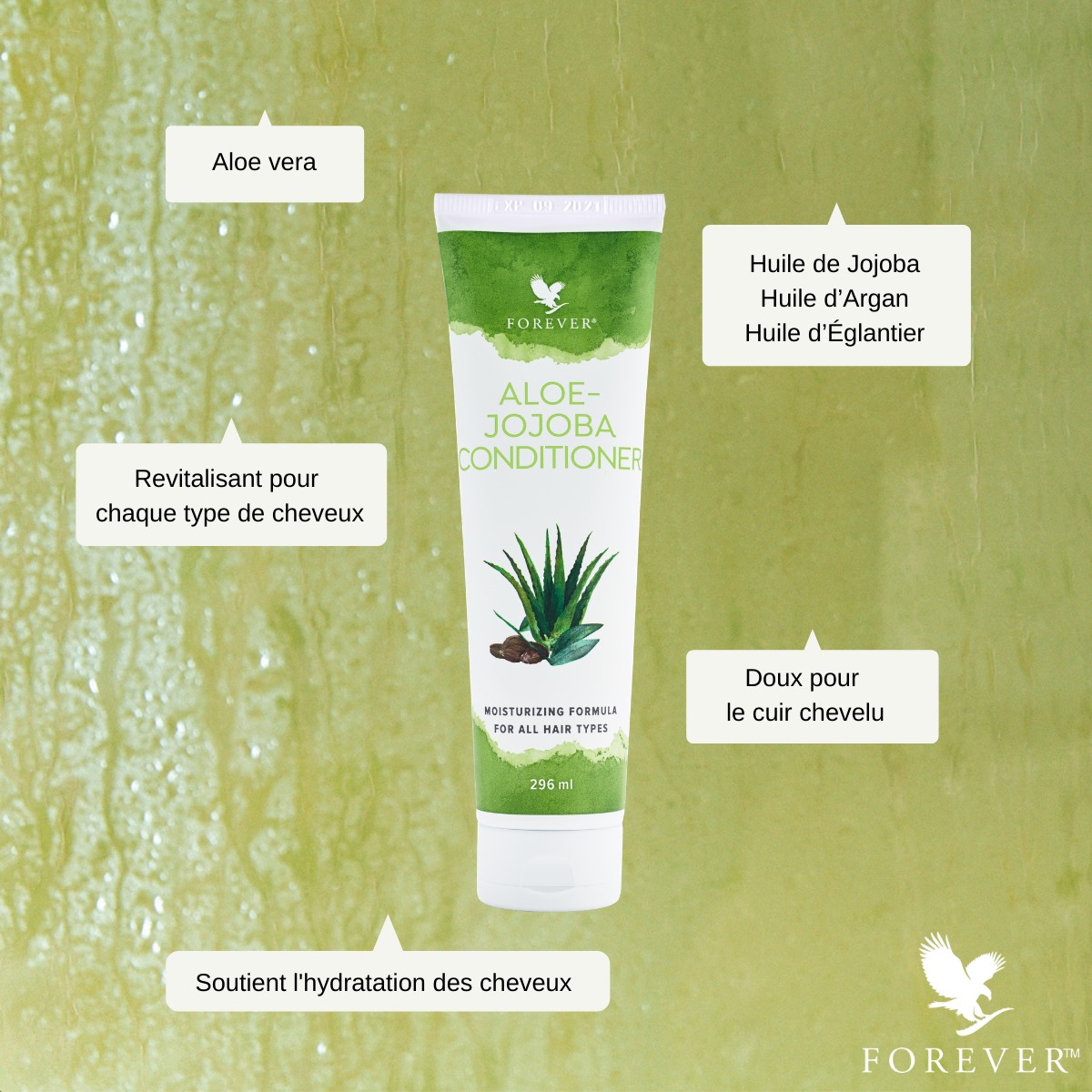 Après-shampoing Aloe Jojoba Forever – soin capillaire naturel sans sulfates à l’aloe vera et huiles végétales pour cheveux doux, brillants et faciles à coiffer.