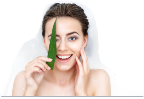 Les pouvoirs de l'Aloe vera pour votre peau
